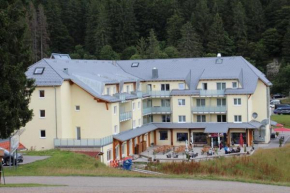 Apartment in Feldberg with a balcony or terrace
